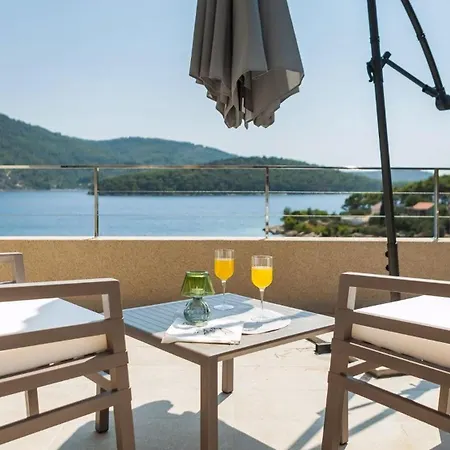 Holiday home Belveder Mit Infinity Pool Vela Luka