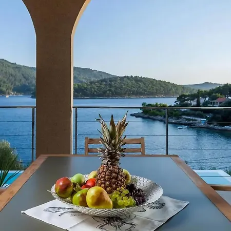 Belveder Mit Infinity Pool * Vela Luka