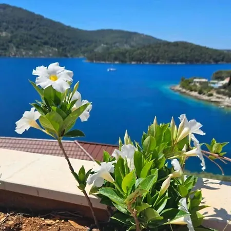 Holiday home Belveder Mit Infinity Pool *
