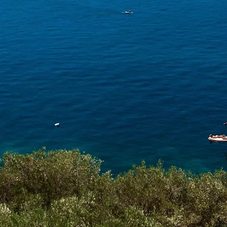 Holiday home Belveder Mit Infinity Pool Vela Luka