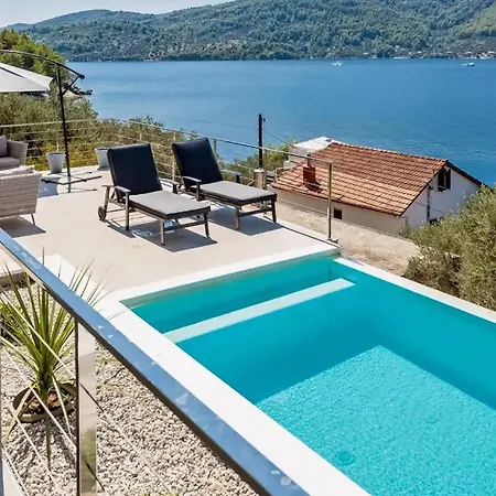Belveder Mit Infinity Pool Holiday home Vela Luka
