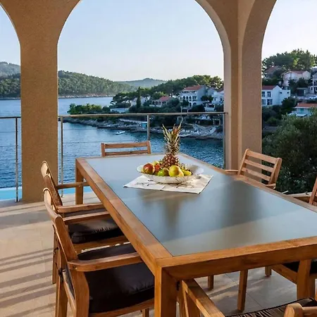 Belveder Mit Infinity Pool Holiday home Vela Luka